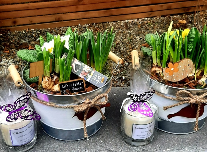Spring Planter Gift Set