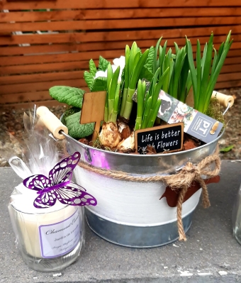 Spring Planter Gift Set