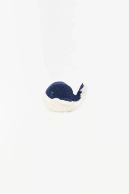 Blue & White Whale