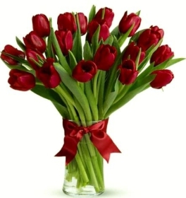 Valentines Tulip Vase