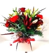 Christmas Cracker (Luxury Box)