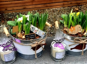 Spring Planter Gift Set
