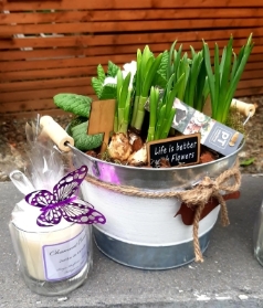 Spring Planter Gift Set