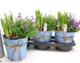 Mum's Delight Gift Set ** available from 27th March