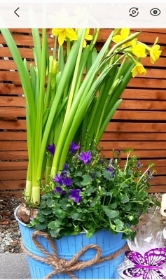 Spring Garden Gift Set