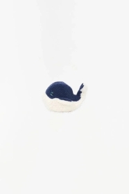 Blue & White Whale
