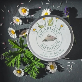 Daisy Salve by Sugarloaf Botanics