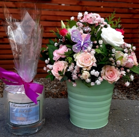 Pastel Gift Set