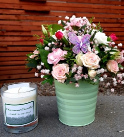 Pastel Gift Set